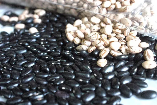 Foto: Reprodução/Secom Paraná