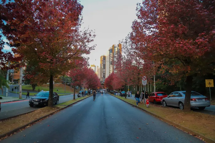 Foto: Geraldo Bubniak/AEN