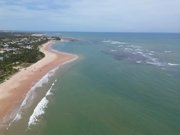 Sedur realiza ação de proteção de ninhos de tartarugas em Guarajuba