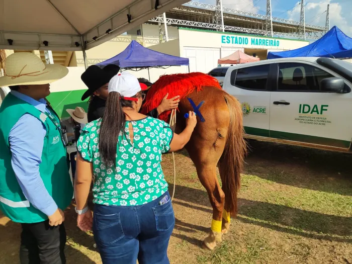 Foto: Reprodução/Secom Acre