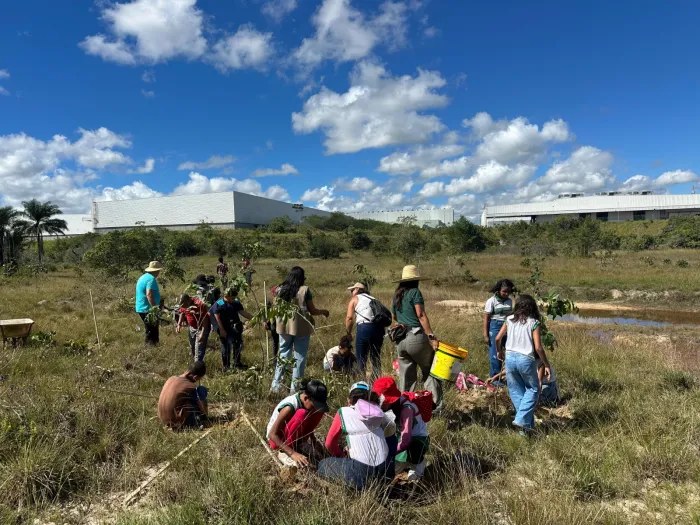 Sedur promove plantio de mudas em área de nascente do Rio Capivara