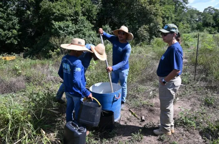 Projeto ambiental fortalece recuperação ambiental em Bonito com atuação conjunta ao Governo de MS