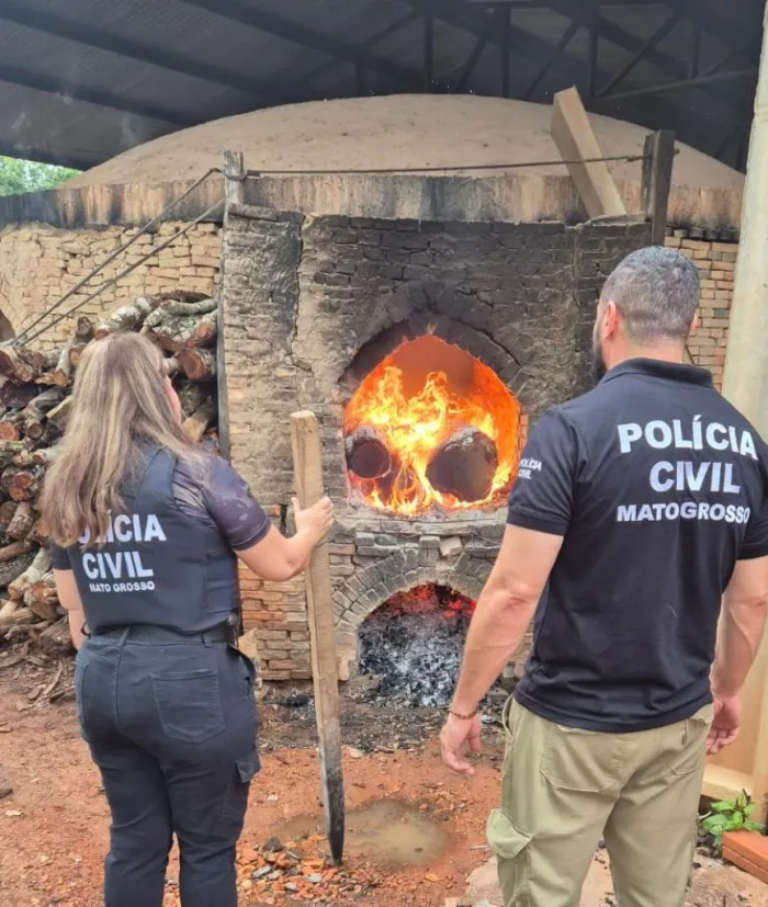 Polícia Civil incinera cerca de 50 quilos de entorpecentes em Barra do Garças