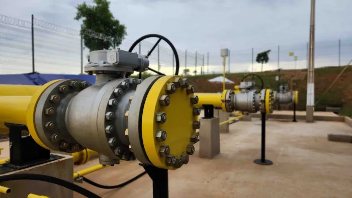 Gasmig encerra 2025 com lucro líquido de R$ 515 milhões e investimentos de R$ 314 milhões