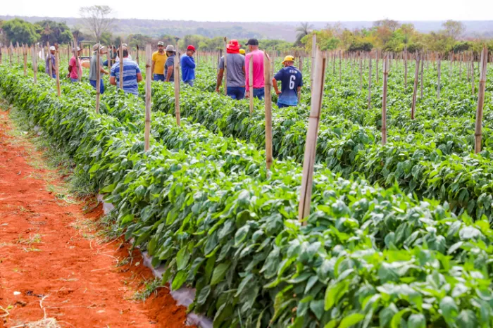 Audiência pública discute a gestão do Galpão do Produtor Rural do Paranoá