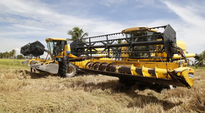 Safra de arroz registra recorde mais uma vez em Sergipe