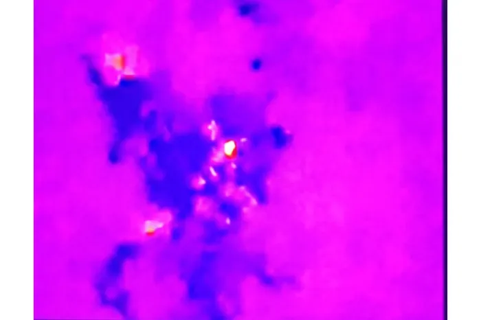 Foto: Reprodução/Secom Paraná