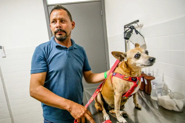 Hospital do Pet mantém atendimento de excelência e amplia suporte especializado para cães e gatos em João Pessoa