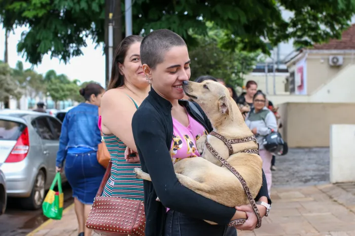 Infecção uterina em pets pode ser evitada com castração