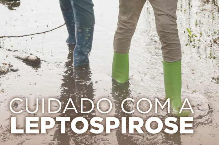Com previsão de chuva acima da média, Saúde reforça cuidados contra leptospirose no outono