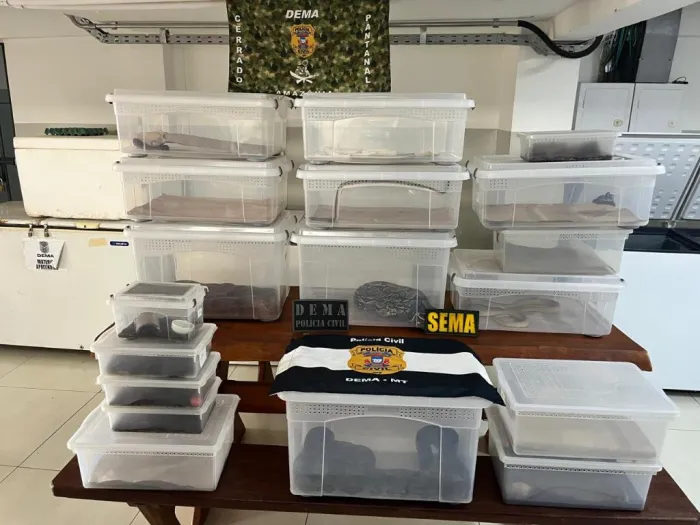 Polícia Civil deflagra operação contra manutenção irregular de animais silvestres e exóticos