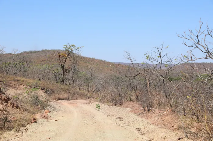 Foto: Matheus Lemos/Ascom Sema