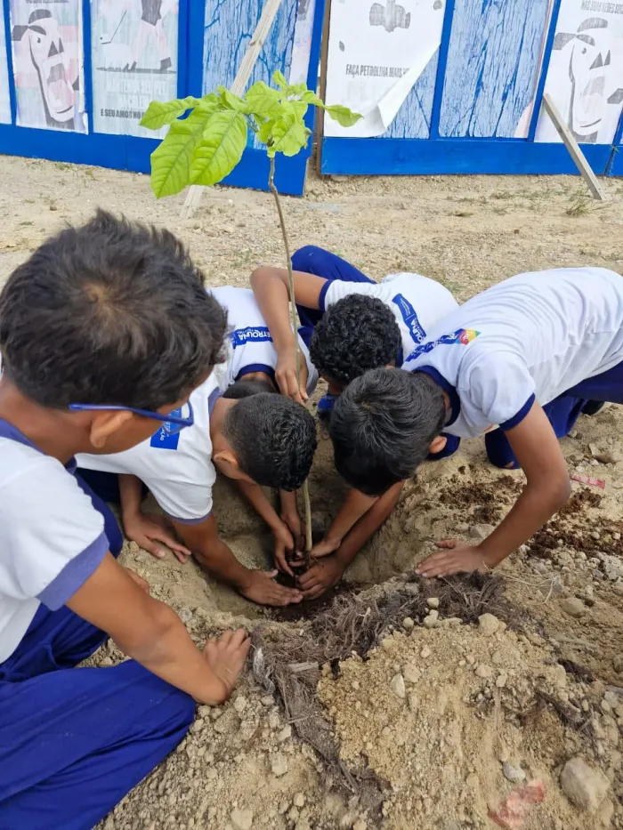 Foto: Reprodução/Prefeitura de Petrolina - PE