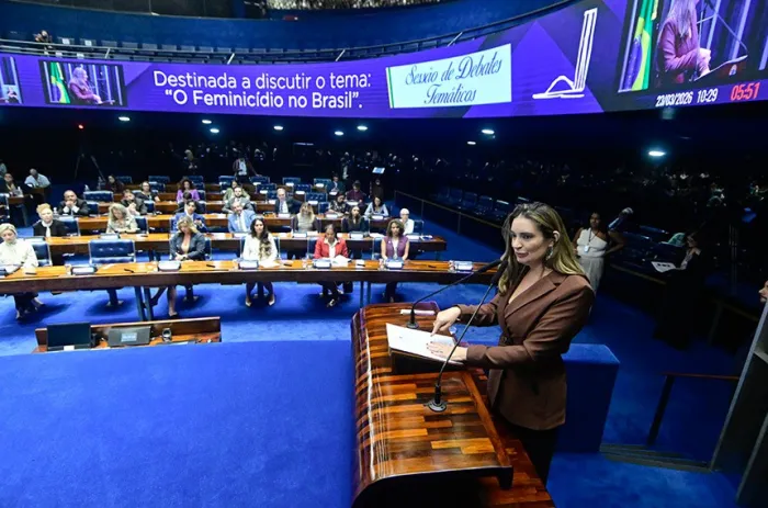 Ação do Estado pode reduzir feminicídios, afirmam debatedores no Senado