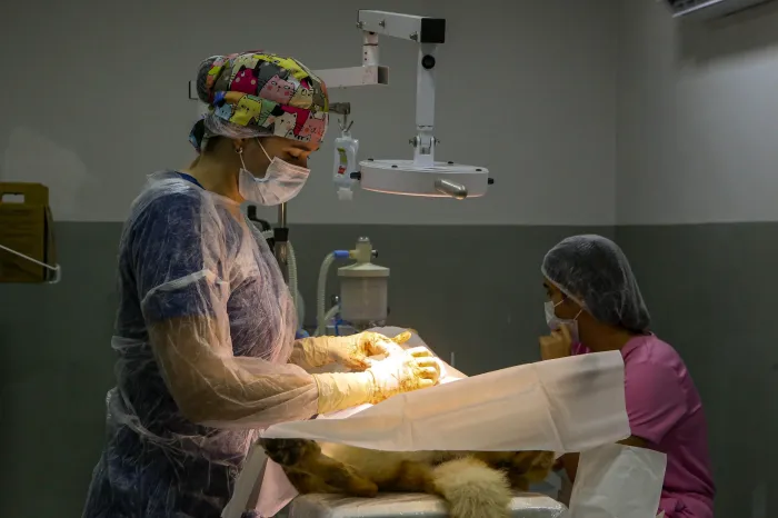 Clínica do Pet fortalece atendimento, amplia serviços e consolida rede pública de cuidado animal em João Pessoa