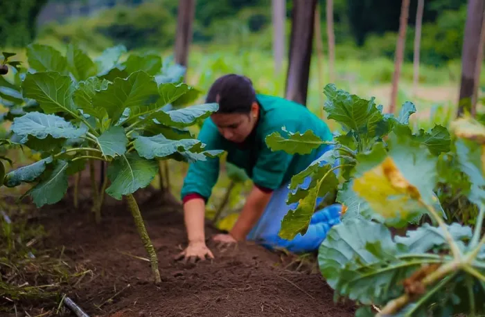  Emenda fortalece a agricultura de Nova União (Foto: Seagri)
