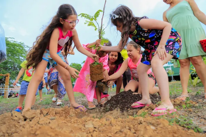 Foto: Reprodução/Prefeitura de Caruaru - PE