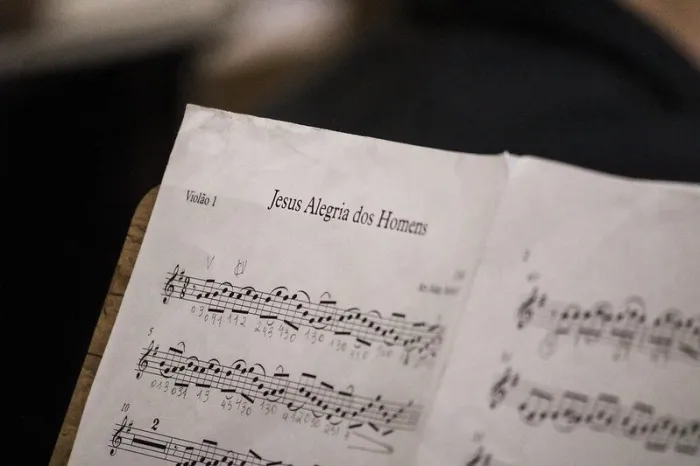 Foto: Reprodução/Agência Amazonas