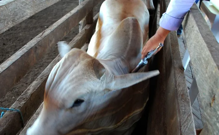 Foto: Reprodução/Agência Amazonas
