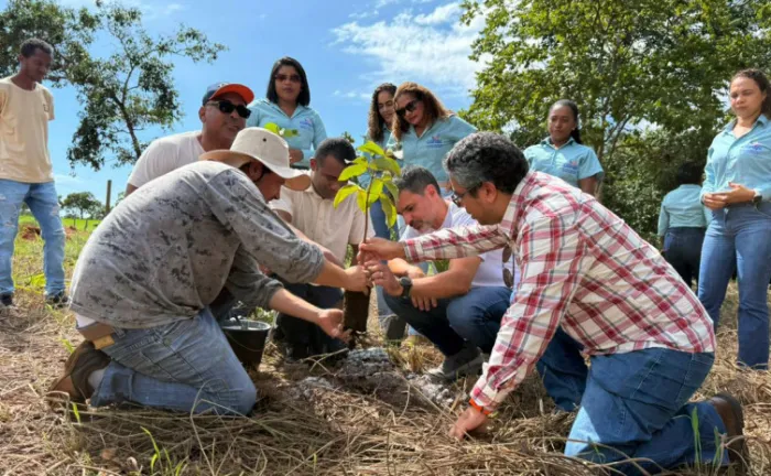 Semana da Água inicia com apresentação do projeto Plantando Água e ações de preservação de nascentes