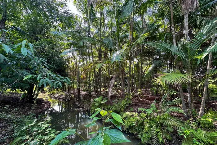 Foto: Vinícius Leal (Ascom/Ideflor-Bio)