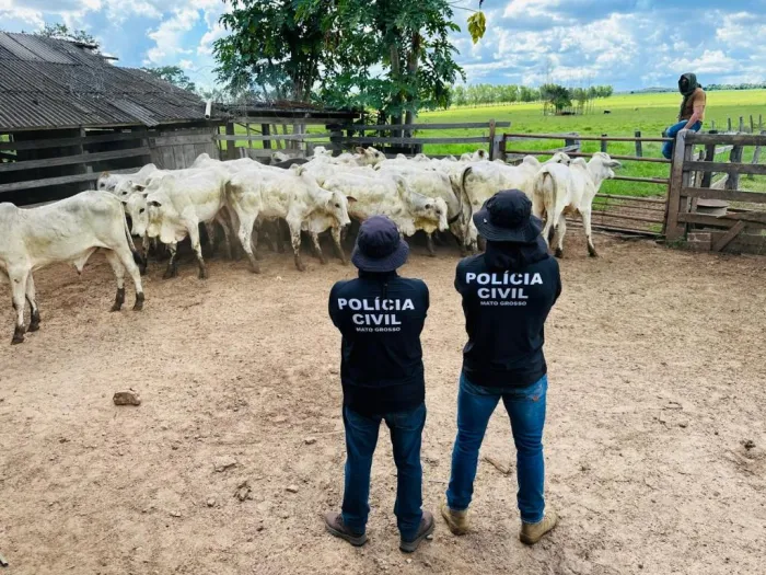 Polícia Civil - MT