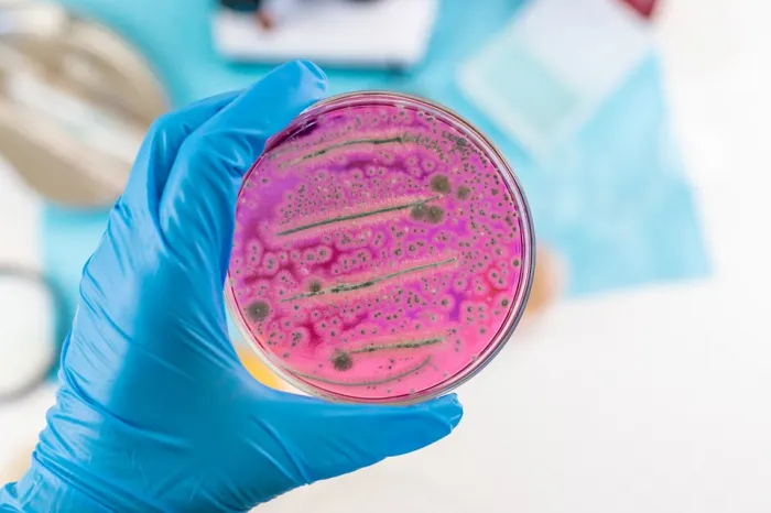 Fapes abre chamada internacional inédita para financiar pesquisas sobre resistência antimicrobiana na produção animal