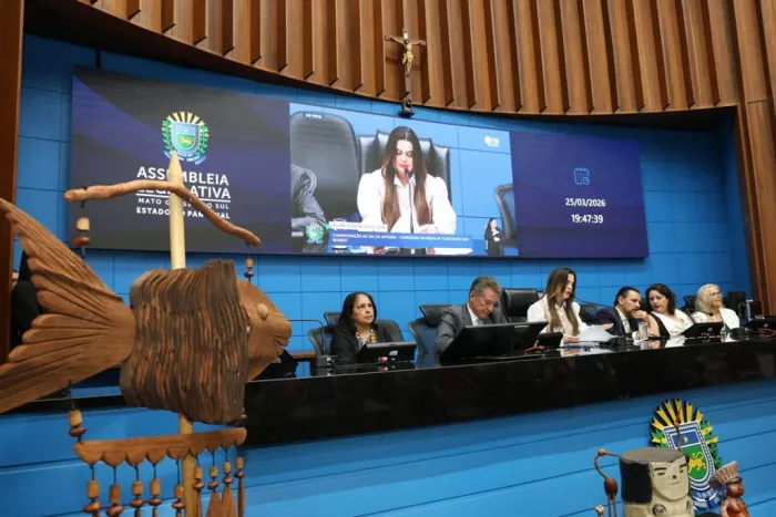 Conceição dos Bugres: Legado reconhece cada artesão homenageado na ALEMS