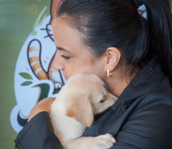 Foto: Reprodução/Secom SC