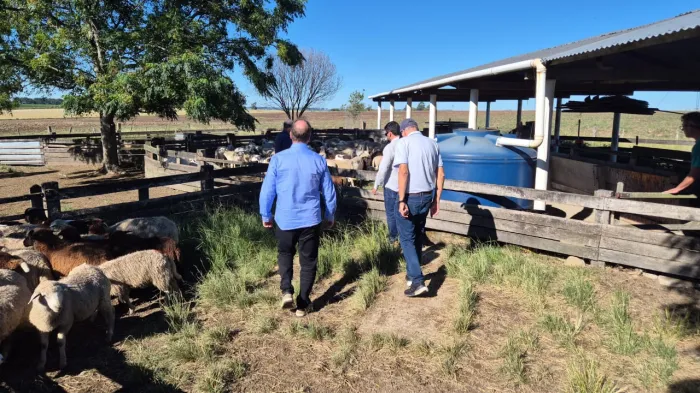 Foto: Reprodução/Secom SC