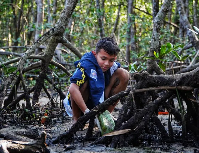 São Sebastião promove ação de Educação Ambiental no Mangue do Araça nesta sexta-feira 