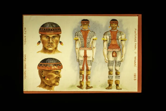 Foto: Reprodução/Secom Paraná