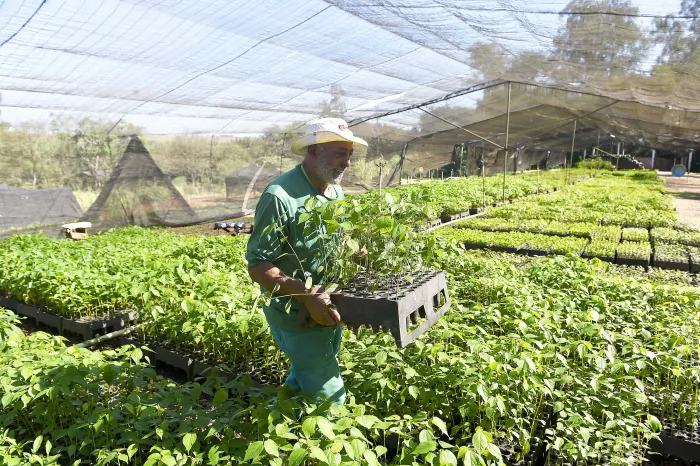 Foto: Denis Ferreira Netto/SEDEST