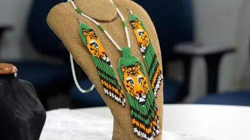 Foto: Reprodução/Prefeitura de Porto Velho - RO