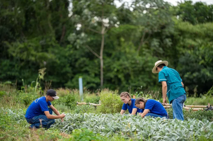 Foto: Lucas Fermin/SEED