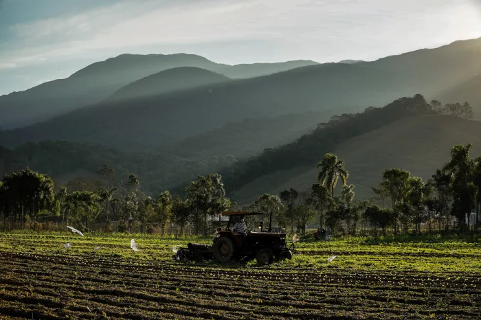 Governo de SC inicia transição para o CAR Digital e plataforma fica temporariamente indisponível