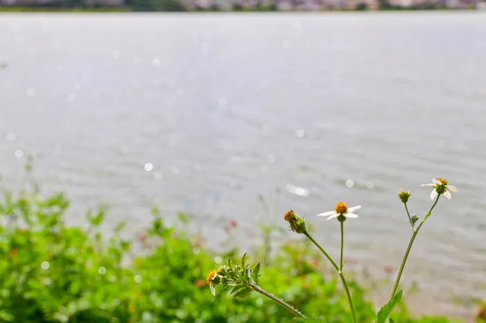 Foto: Reprodução/Prefeitura de Vitória da Conquista - BA