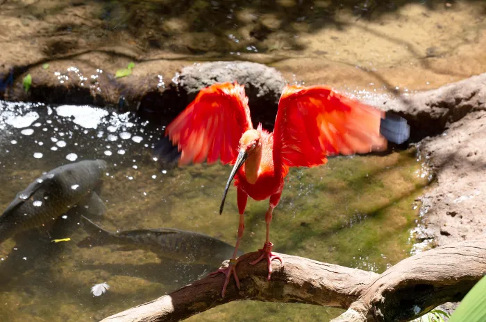 Foto: Denis Ferreira Netto/SEDEST