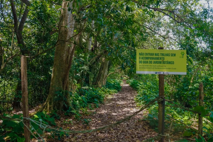 Festa Anual das Árvores movimenta Jardim Botânico neste fim de semana