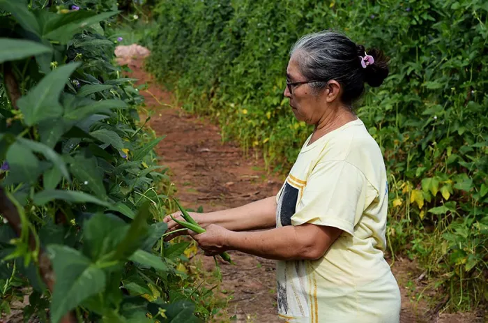 Antes, quem quisesse contar o tempo para aposentadoria precisava pagar contribuições em atraso com multa - Foto: Marcos Vergueiro/Secom-MT