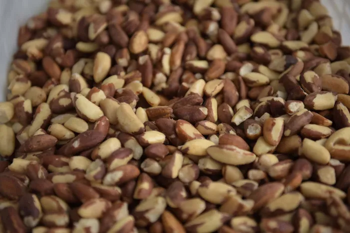 Foto: Reprodução/Secom Acre