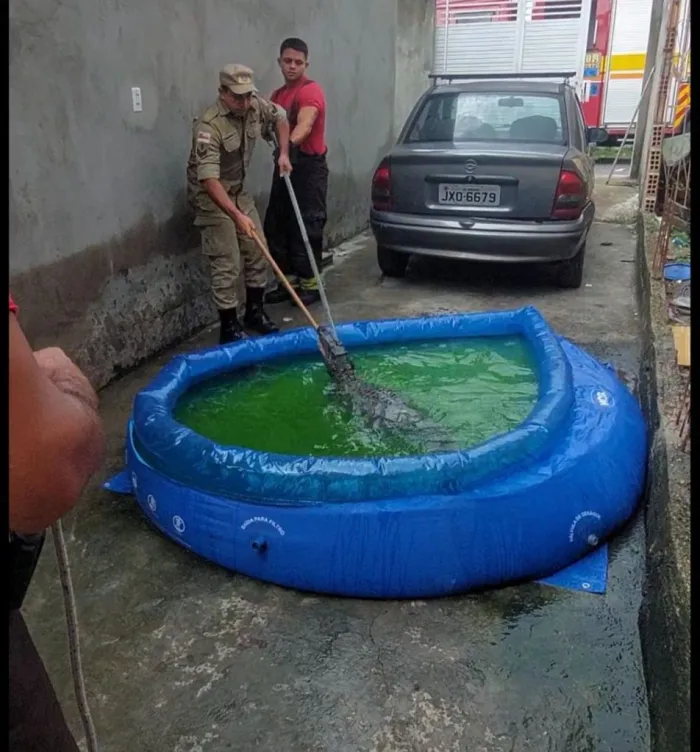 Foto: Reprodução/Agência Amazonas