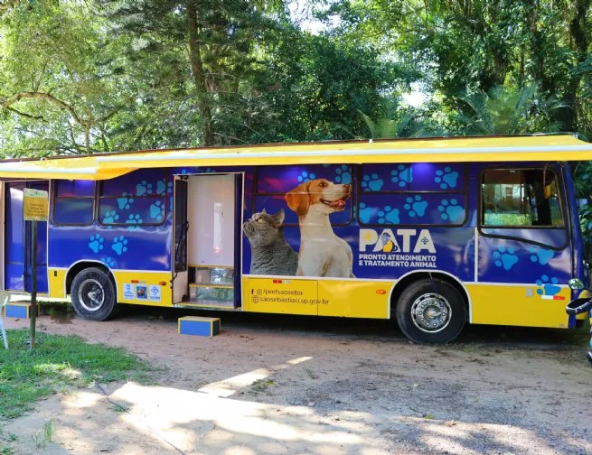 Foto: Reprodução/Prefeitura de São Sebastião - SP