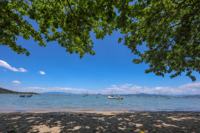 SEMAE prorroga prazo da consulta pública sobre a revisão da Instrução Normativa do Projeto Orla em Santa Catarina