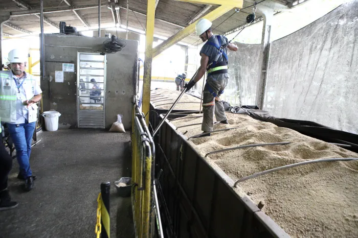 Foto: Reprodução/Secom Paraná