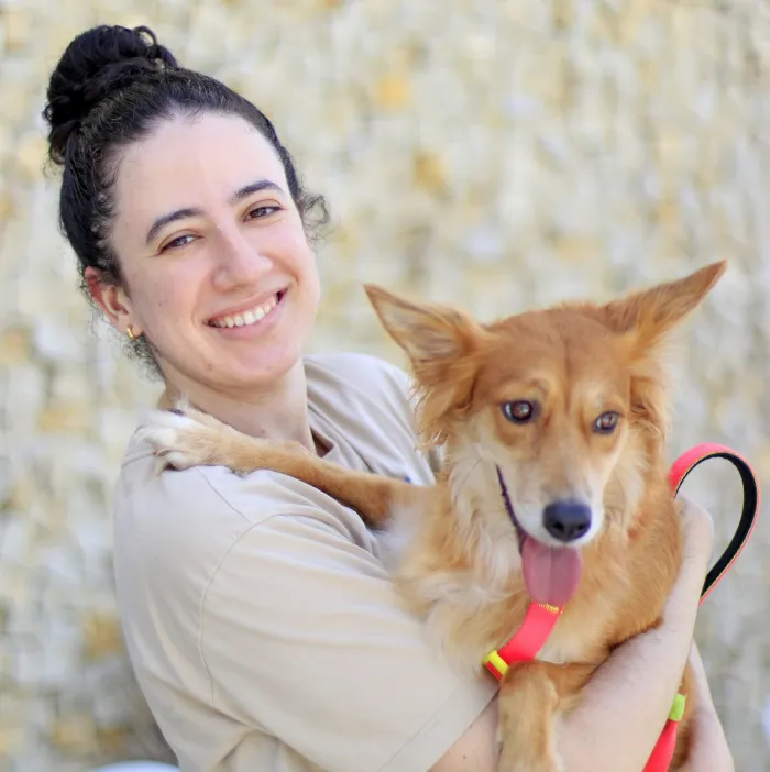 Prefeitura de João Pessoa promove Dia D da Causa Animal nesta terça-feira
