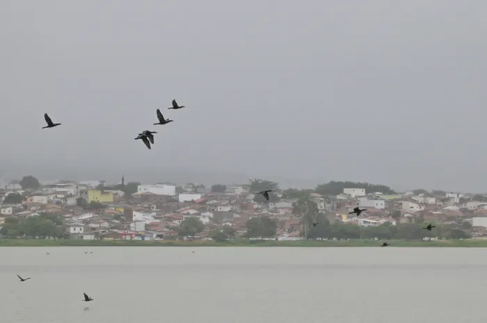 Foto: Reprodução/Prefeitura de Vitória da Conquista - BA