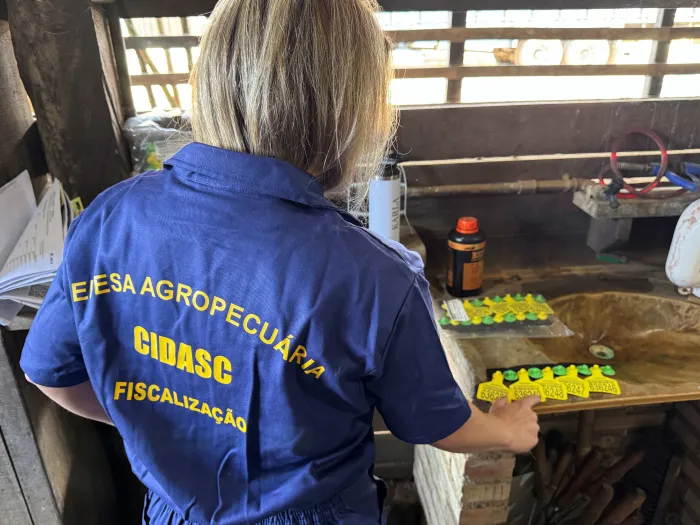 Programa catarinense pioneiro em identificação individual de bovinos e bubalinos completa 18 anos