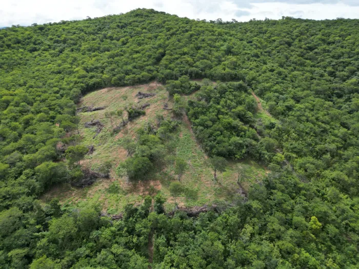 Fiscalização ambiental coíbe desmatamentos ilegais no Norte de Minas