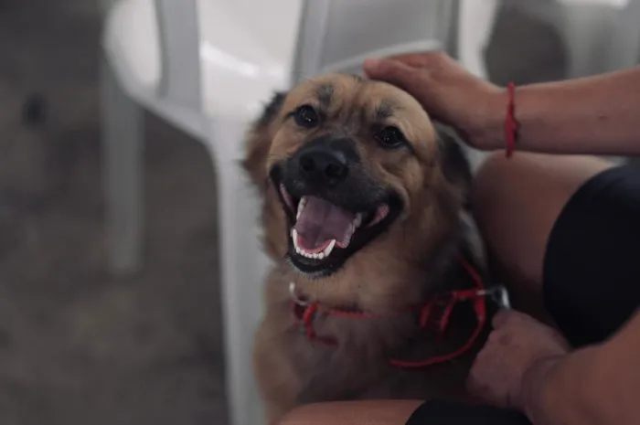 Foto: Reprodução/Agência Amazonas